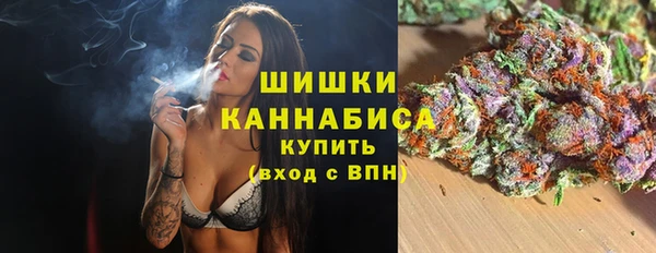 хмурый Снежногорск